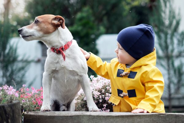 small-kid-with-dog-YC6WDXN.jpg